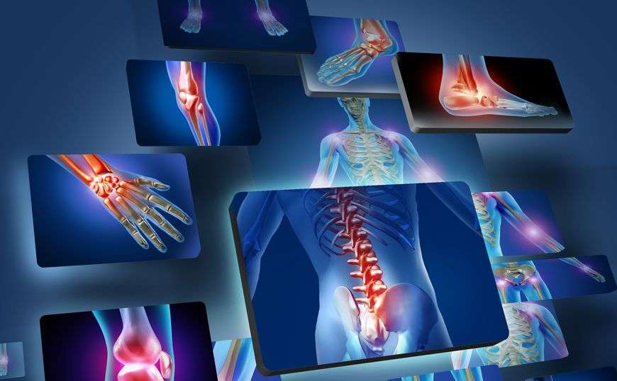 Human Joints Concept